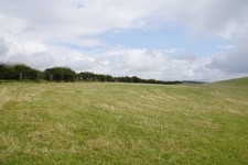 Photo 6x4 Grazing land for