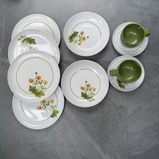 Vintage Melamine Picnic Set 12