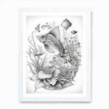 Butterfly koi fish - butterfly,