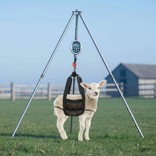 Livestock weighing sling - livestock,