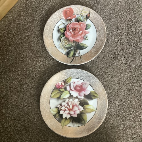 Bradex royal worcester - worcester, 2