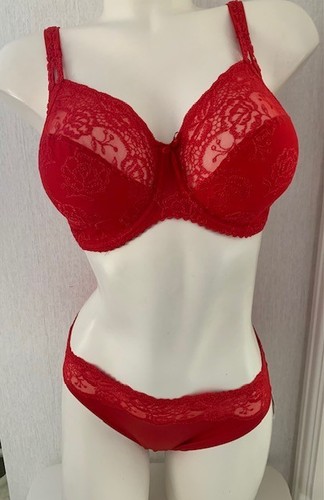 Prima donna delight - donna,