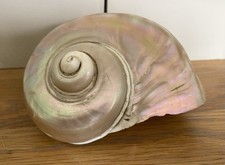 Polished turbo shell - polished,