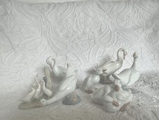 Beautiful Collection Of NAO