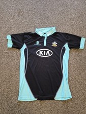 Surrey Cricket Club 2013