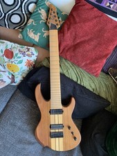 Agile Intrepid 8 String Guitar