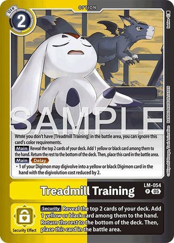 Treadmill training 054 - treadmill,