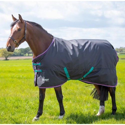 Shires tempest original - shires,