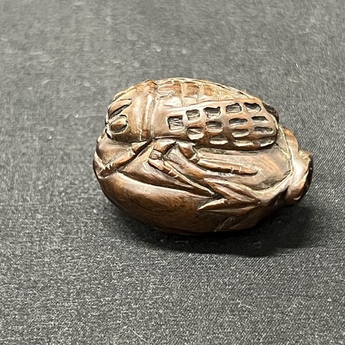 Japanese netsuke cicada - japanese, on