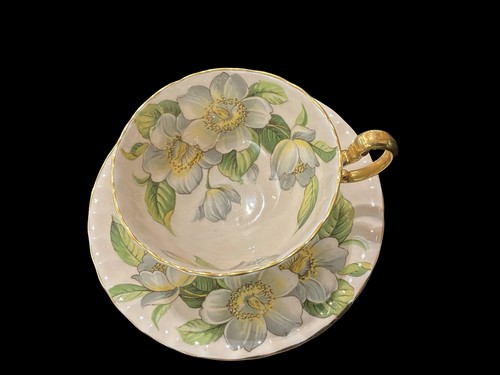 Aynsley white dogwood rose cup - dogwood,