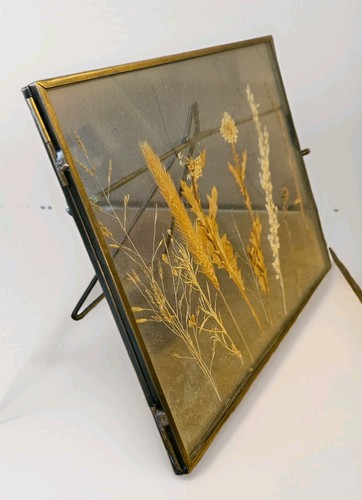 Vintage pressed flowers grass - flowers,
