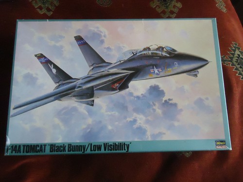 Hasegawa 14a tomcat - f-14a,