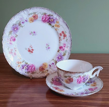 Antique C.T. Carl Tielsch Altwasser Germany Floral Tea Cup Saucer & Plate c1906