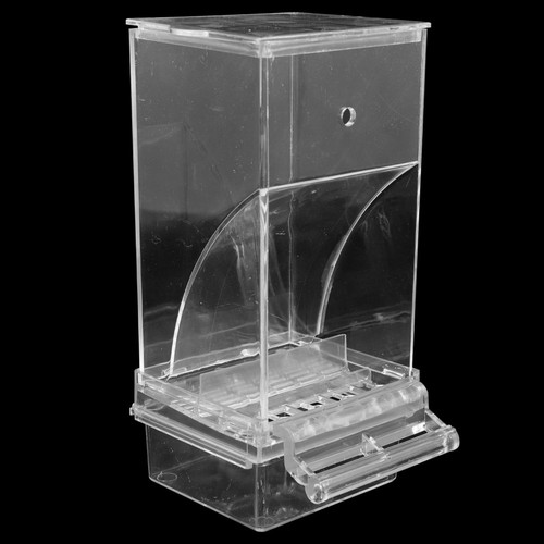 Automatic parrot feeder bird - automatic,