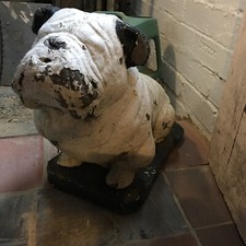 Bull Dog Cement Garden Ornament Or Door Stop. Approx 1980’s.