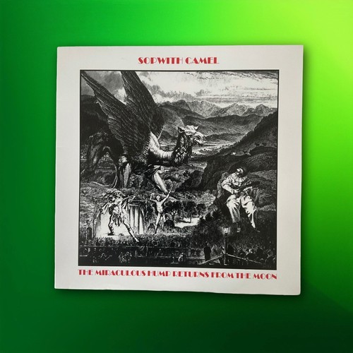 Sopwith camel miraculous hump - camel,