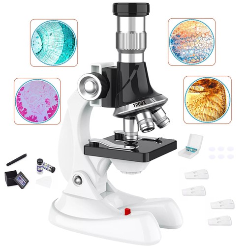 Beginner microscope kit - beginner,