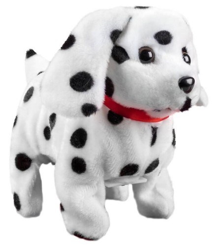 Dalmatian puppy dog walks - puppy,