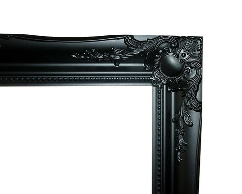 Baroque ornate picture frame - frame,