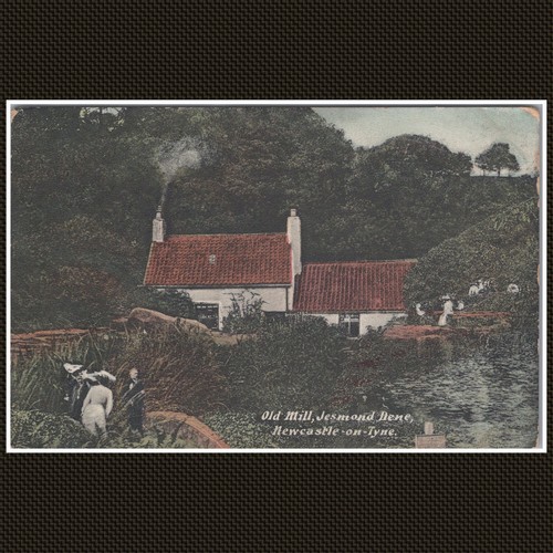 Old mill jesmond - old, dene
