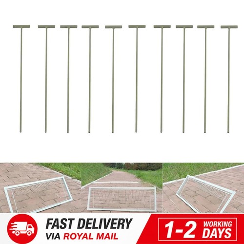 New 10pcs pigeon - entrance, door
