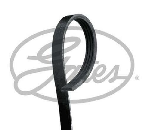 Genuine gates belt - gates, 4pk1070