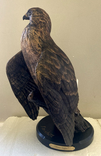 Red tail first light - light, hawk