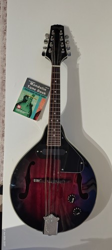 Stagg electro acoustic - stagg,