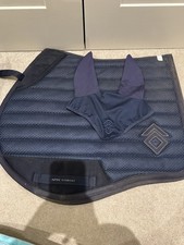 Aztec Diamond Equestrian