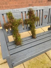 Live Moss Shapes | 50cm CROSS