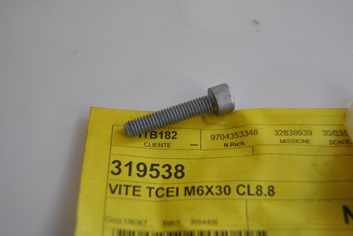 Screw brake caliper piaggio - screw,