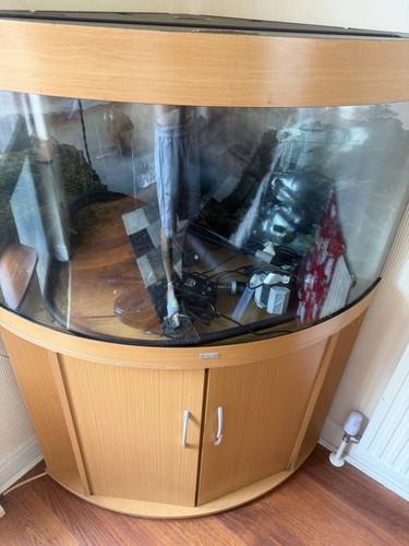 Juwell 190l bowfront glass - juwell,
