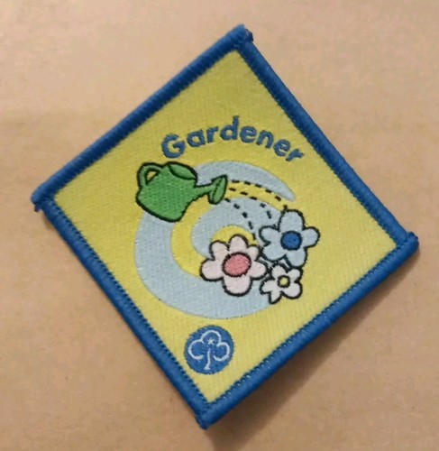 Brownie interest badge - brownie,