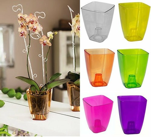 Plant orchid pot plastic - orchid,