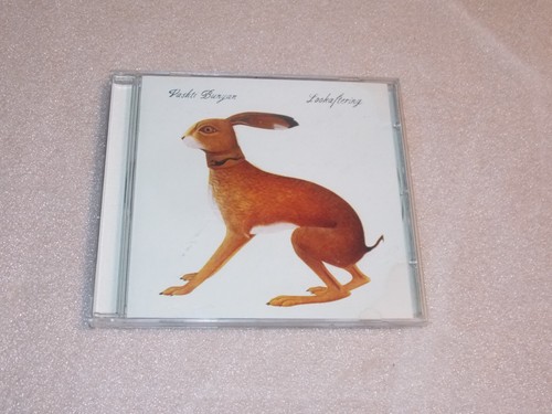 Vashti bunyan lookaftering - bunyan,