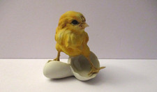Vintage Hatching Chick Egg
