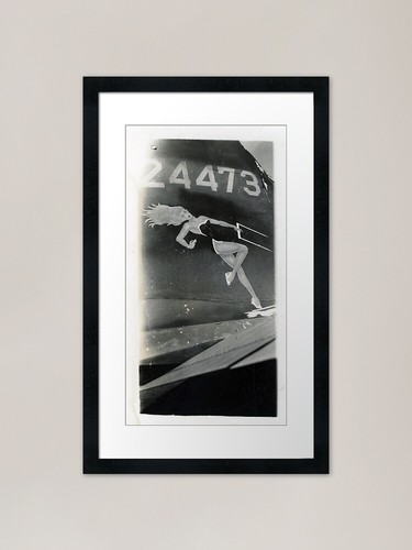 24473 ww2 nose art framed - nose,