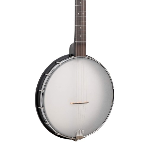 Gold tone acoustic - tone, ac-12