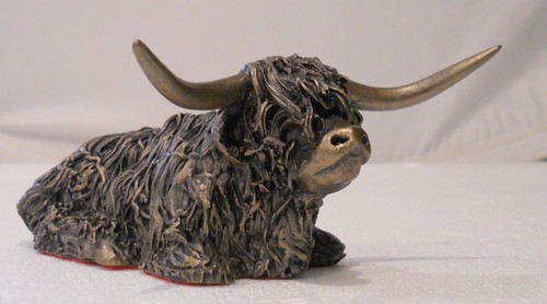 Frith highland bull sitting - frith,