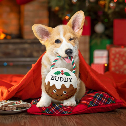 Pre personalised christmas - pre-personalised,