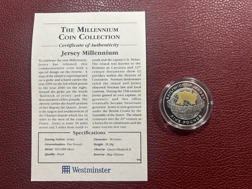The millennium coin - coin, collection