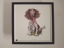 Bryn Parry Dog print 'Springer Spaniel'  FRAMED