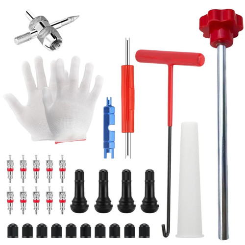 31pcs valve stem - valve, tool