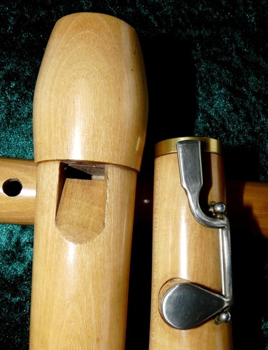 Beginner tenor recorder - tenor,