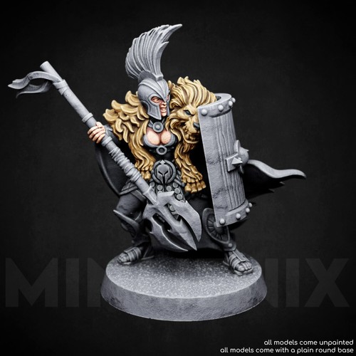 Female gladiator fighter - female,