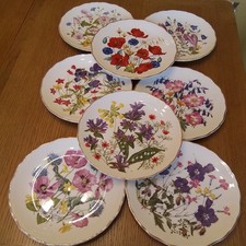 8 Royal Albert Vintage Fine Bone China Plates Britain’s Wild Flowers By Jo Hague