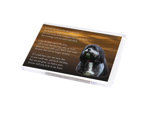 Shih tzu dog fridge - shih,