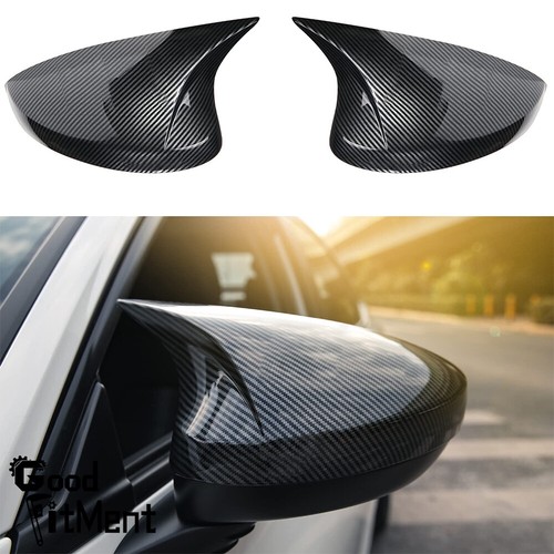 Pair carbon fiber car - pair, door