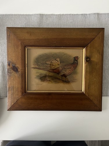 Vintage charles whymper - charles,