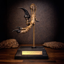 Velociraptor foot Replica –